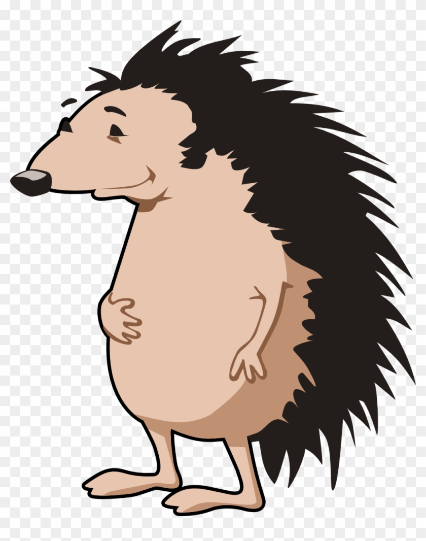 Hedgehog Png And Clipart Free Clip Art Images - Porcupine Clip Art #168709