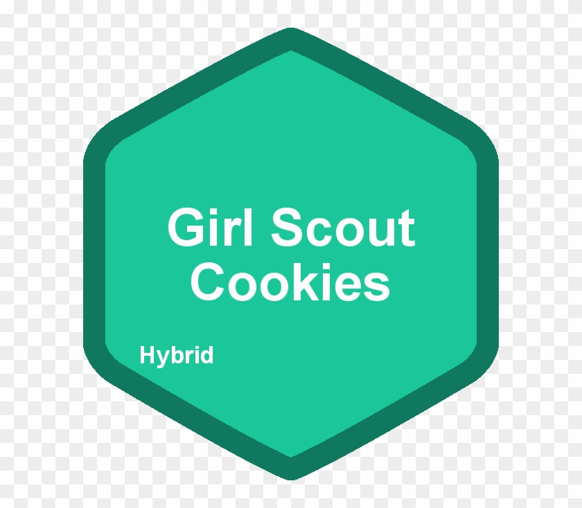 Girl Scouts Of The Usa #168833