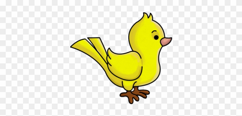 Yellow Bird - Cartoon Small Bird - Free Transparent PNG Clipart Images  Download