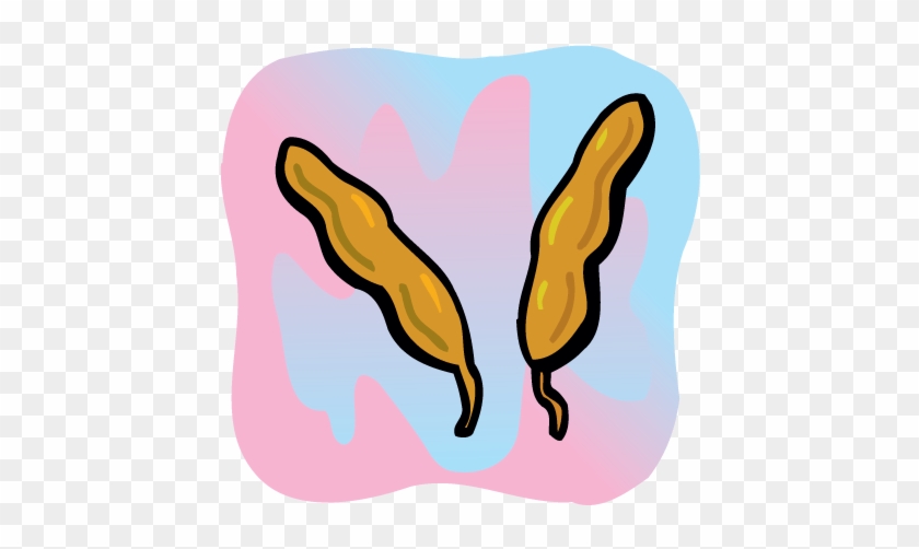 Ingredients-tamarind - Tamarind #906517