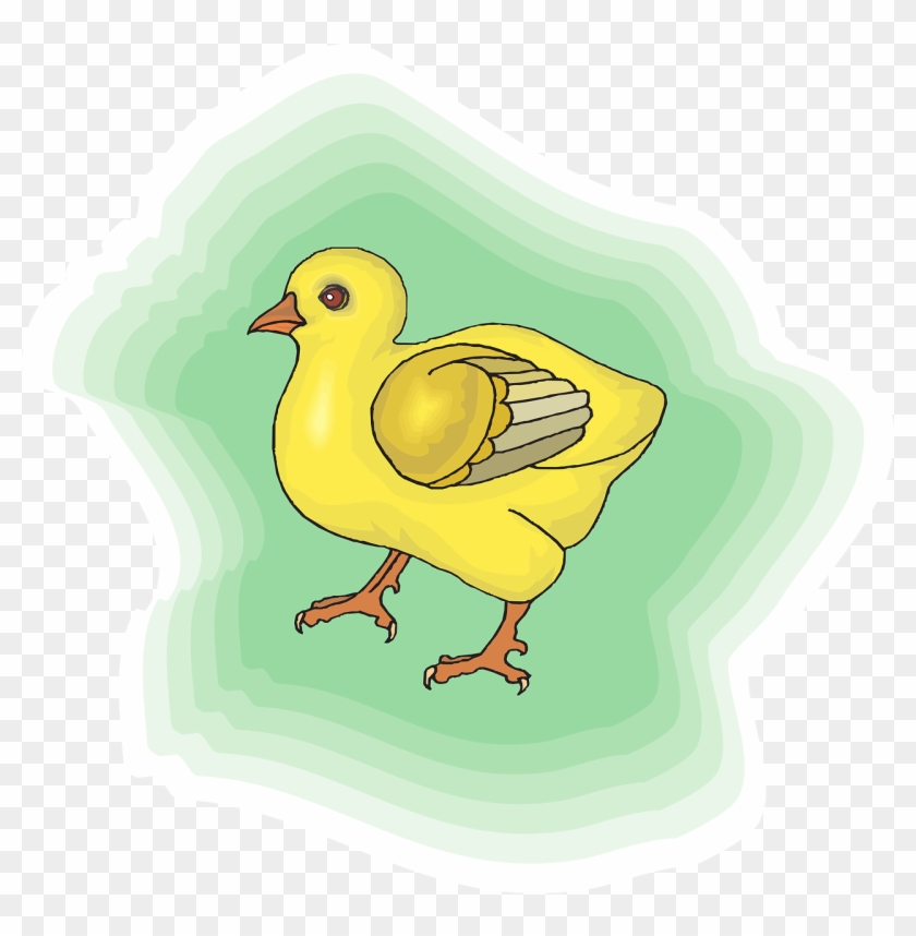 Baby, Green, Farm, Bird, Background, Chick, Animal - Background Ayam Kuning Cartoon #906528