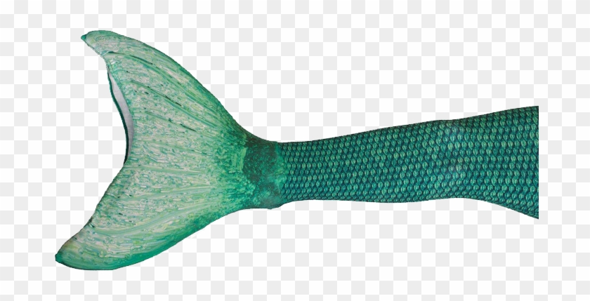 Mermaid Tail Green Png Picture - Mermaid Tail Transparent Background #906579