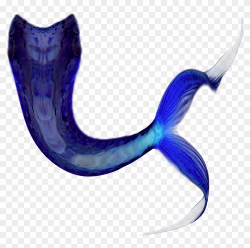 Mermaid Tail No Text Png - Mermaid Tail Brushes Photoshop #906608