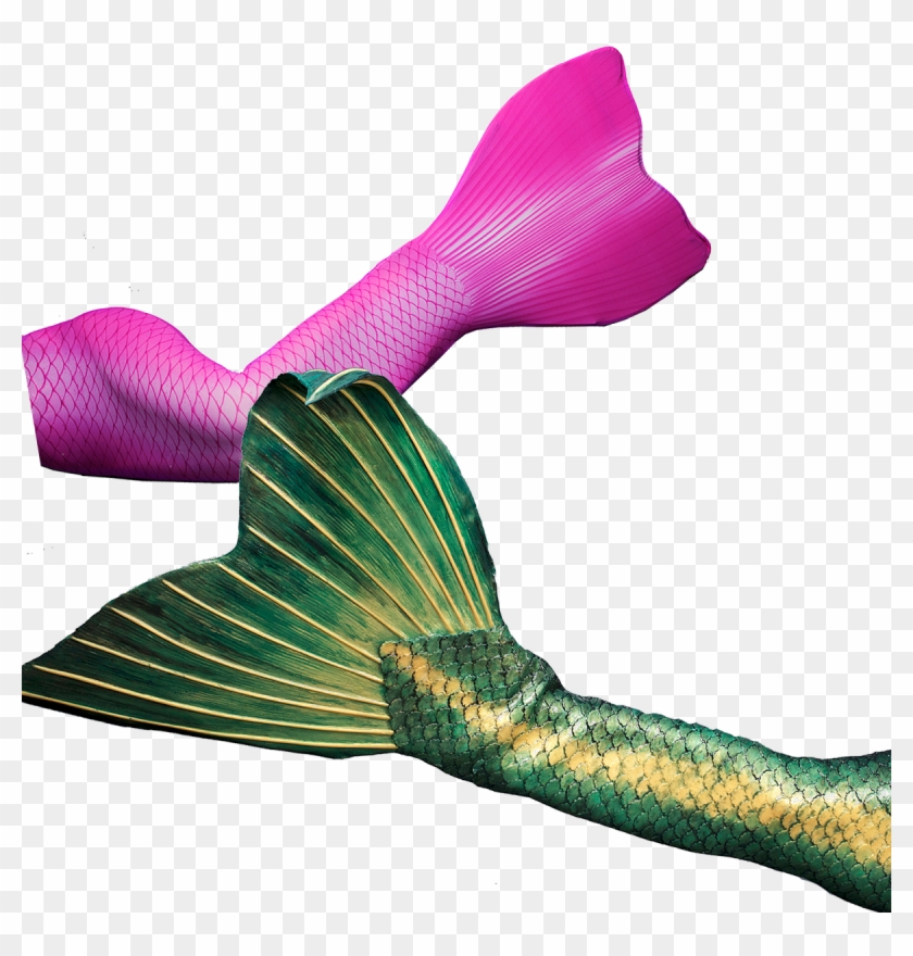 Get Your Professional Fabric Or Silicone Mermaid Tail - Mermaid #906629