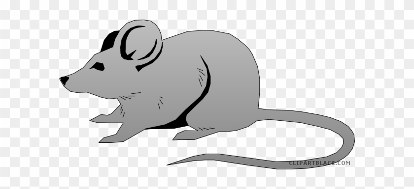 Grey Mouse Clipart - Mouse Clipart Png #906871