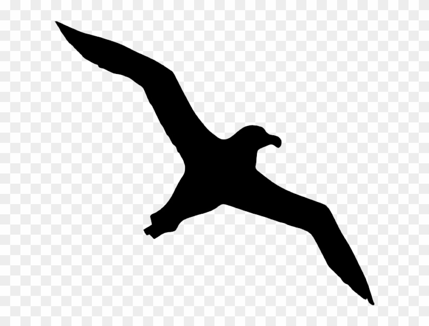 Albatross Transparent Background - Bird Silhouette Transparent Background #906884