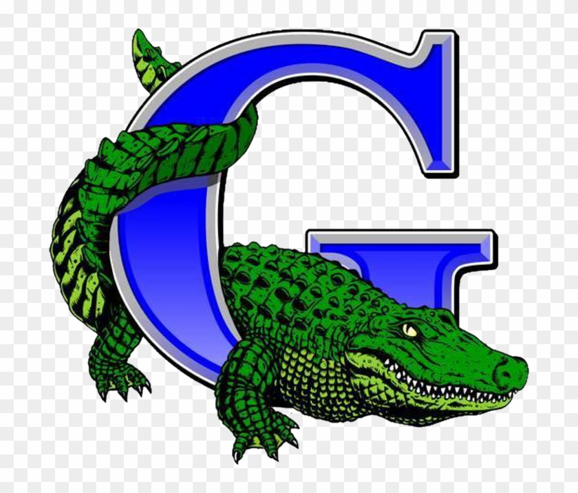 Volleyball Clipart Gator - Palm Beach Gardens Community High School #907096