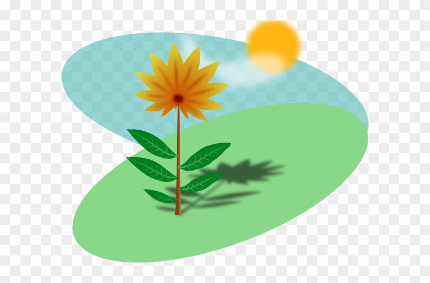 Plant Sunlight Computer Icons Clip Art - Basic Needs Of Plants #907275