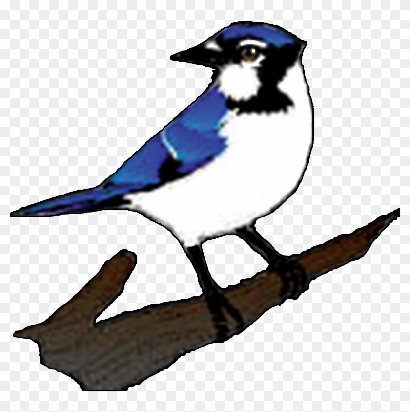 The Great Lakes Forestry Centre Is The Largest Canadian - Blue Jay Clipart Transparent #907370