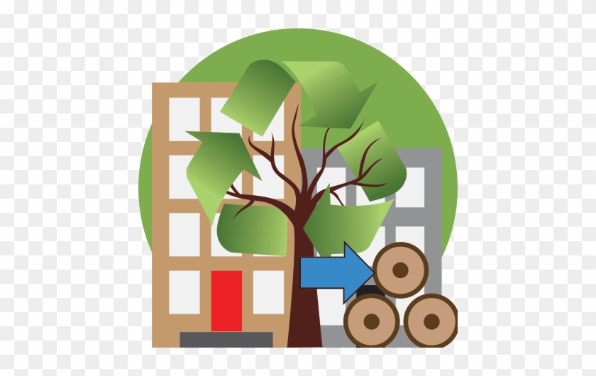 Salvaged From Urban Forests - Tree #907371