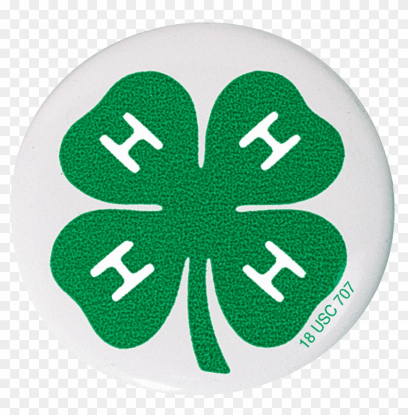 4-h Clover Button - Ffa And 4 H #907516