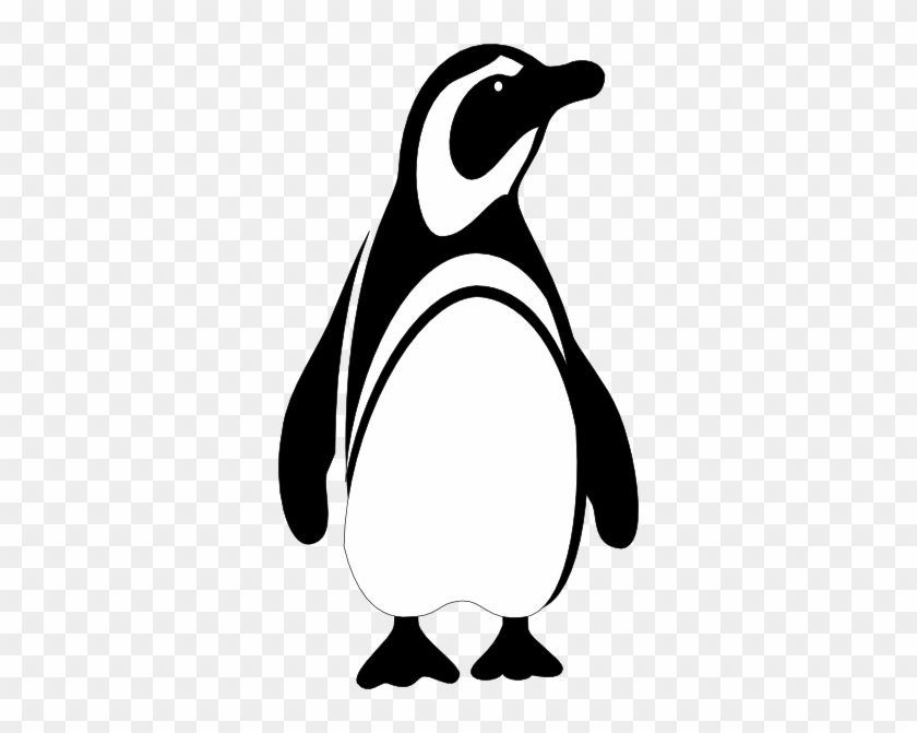 Black And White Penguin #907801