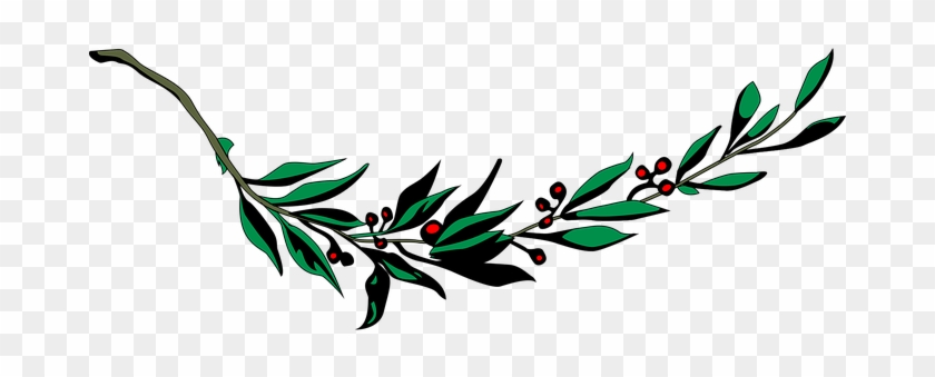 Branch Laurel Leaf Leafy Leaves Plant Bran - Coat Of Arms Of Cuba #908022