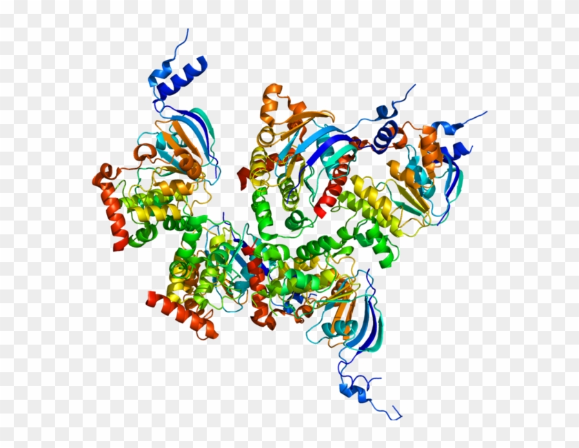 605px-protein Cftr Pdb 1xmi - Cystic Fibrosis Transmembrane Conductance Regulator #908894