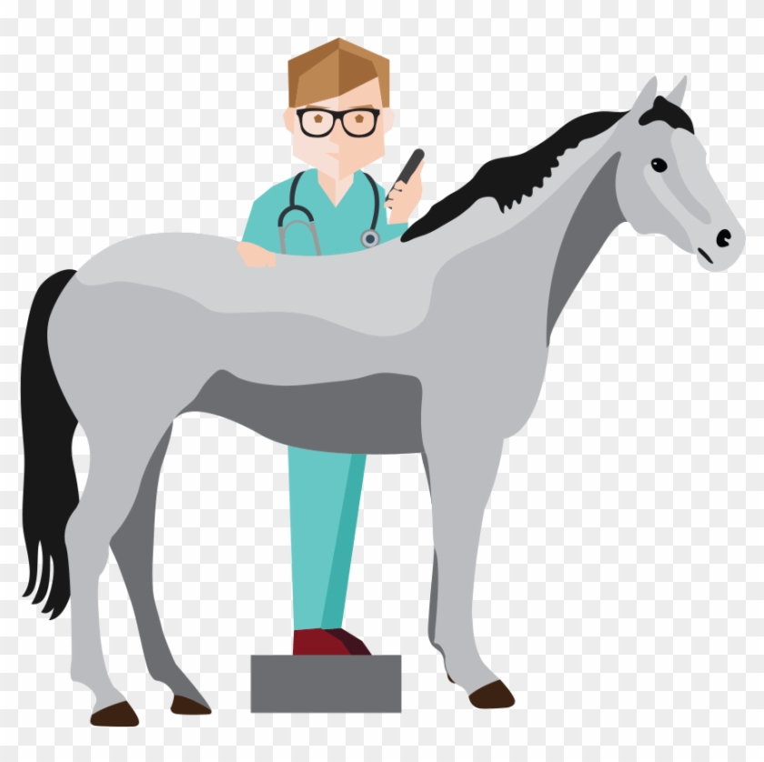 Sayit Dictation Solution For Veterinarians - Horse Veterinarian Clip Art #909086