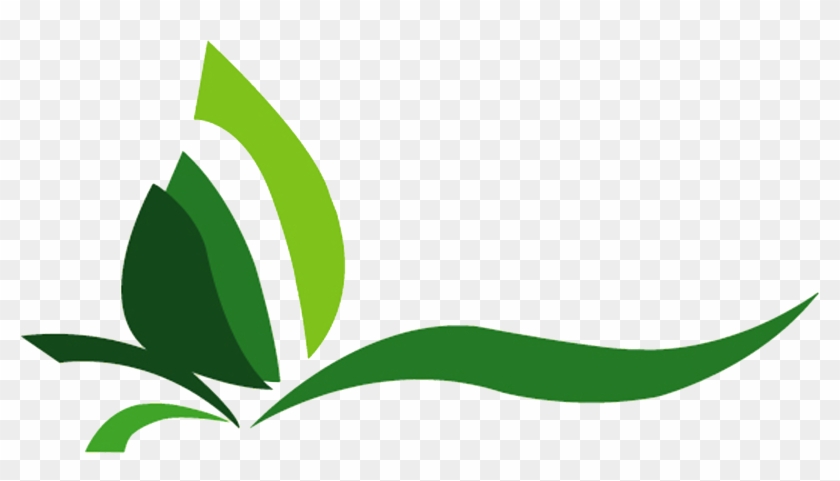 Plants Clipart Halaman - Plants Clipart Halaman #909154