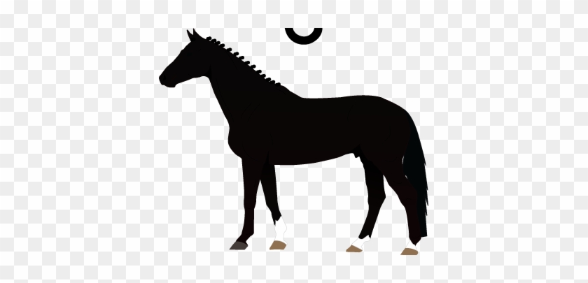 Arabian Icon Quarter Horse Icon Swedish Warmblood Icon - Horse Shape #909170
