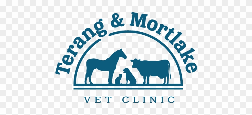 Terang Mortlake Vet Clinic - Mane #909211