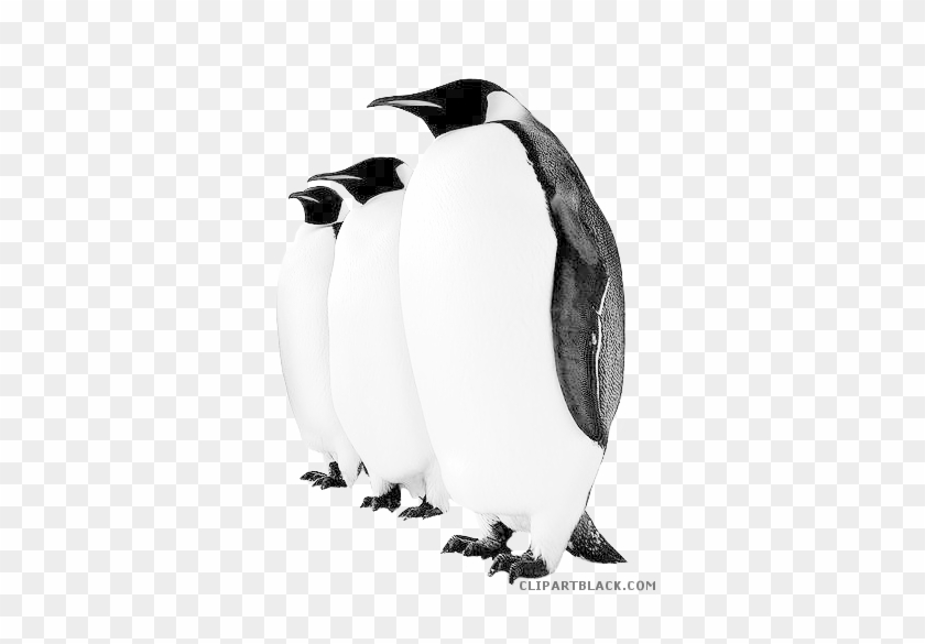 Emperor Penguin Animal Free Black White Clipart Images - Emperor Penguin #909307