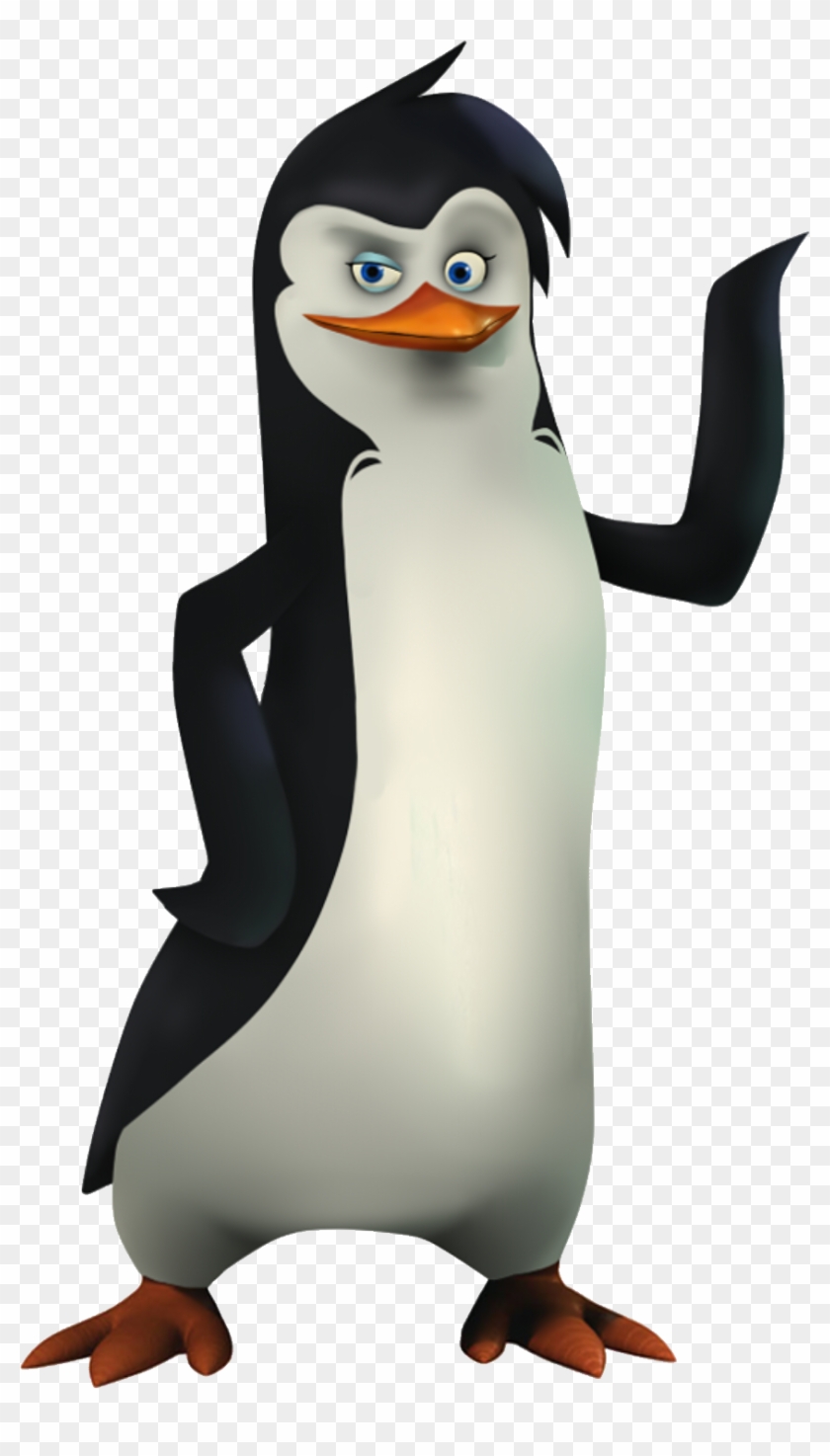 Madagascar Penguin - Penguins Of Madagascar Oc #909331