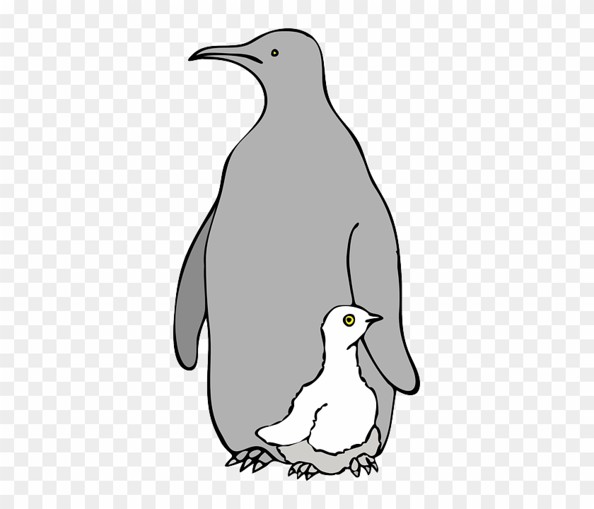 Penguin, One, Child, Cartoon, Bird, Snow, Parent - Anne Ve Yavruları Çizimleri #909357