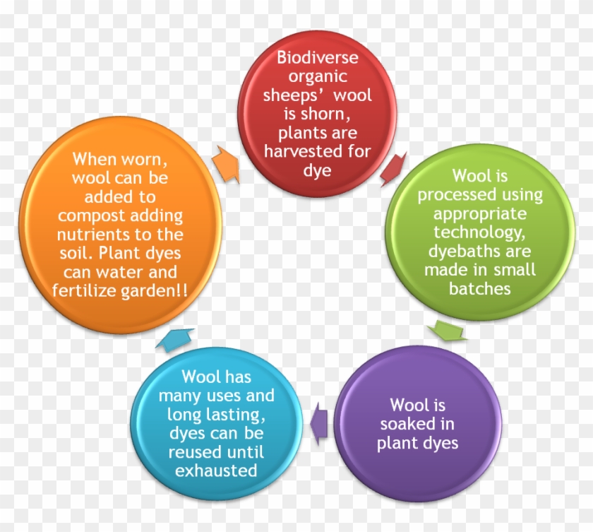 Circle - Circle #909822