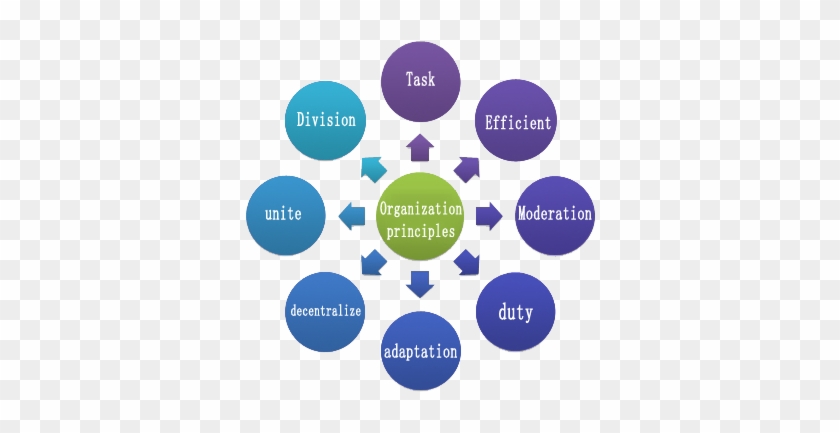 Change Management Kotters 8 Step Model #910359