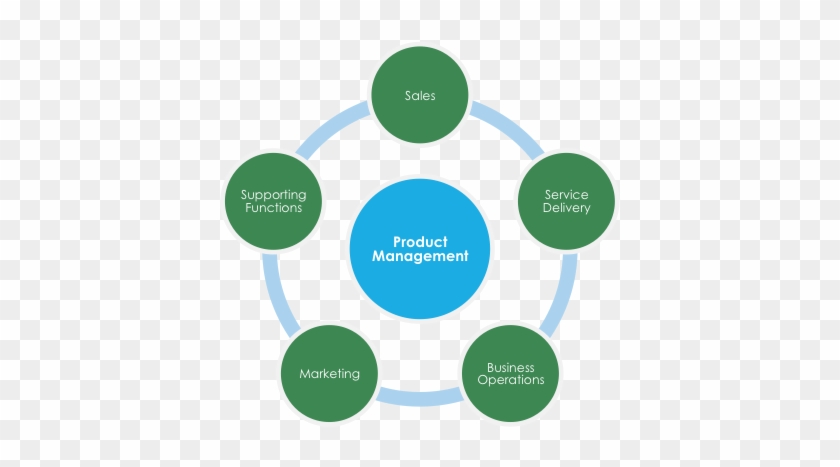 Ms Organization Structure And Key Functions - Characteristic Of Big Data #910383