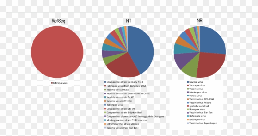 Assignment Of Species Name Using Blast Algorithm And - Circle #910633