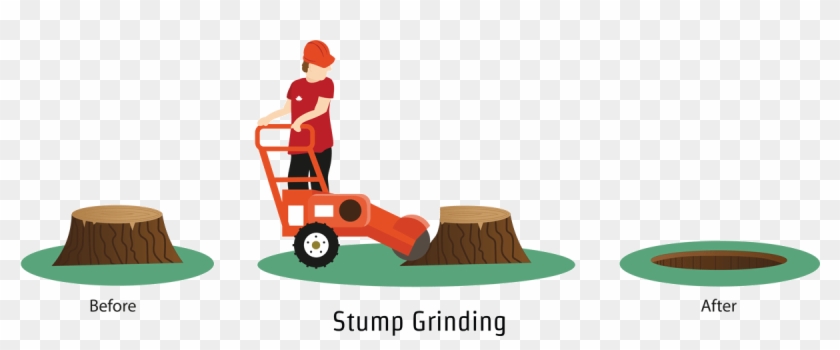 An Illustration Demonstrating Stump Grinding In Southampton, - Southampton #910711