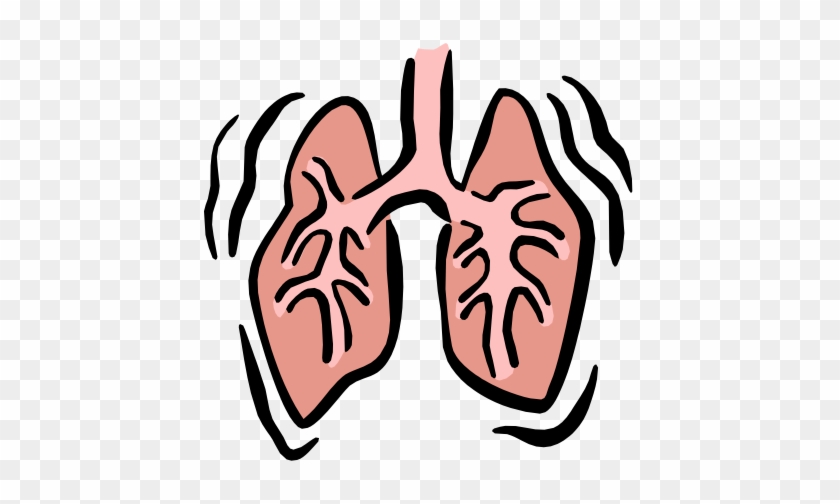 Lungs Clipart Png #910720