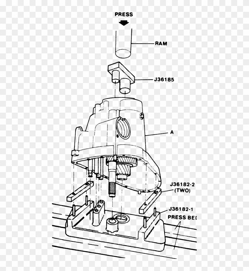 Fig - - Diagram #910996