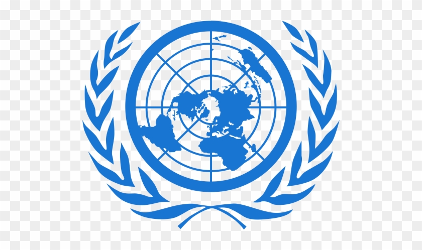 United Nations Icon - World Health Organization Png #911008