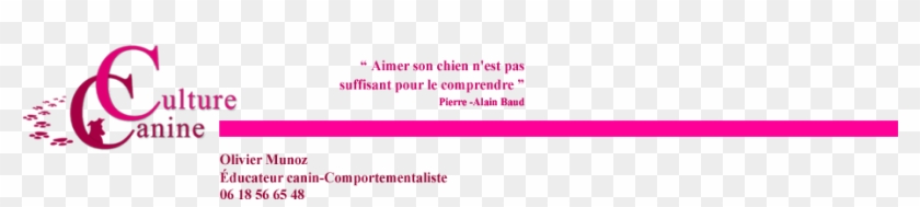 Accueil - Colorfulness #911274