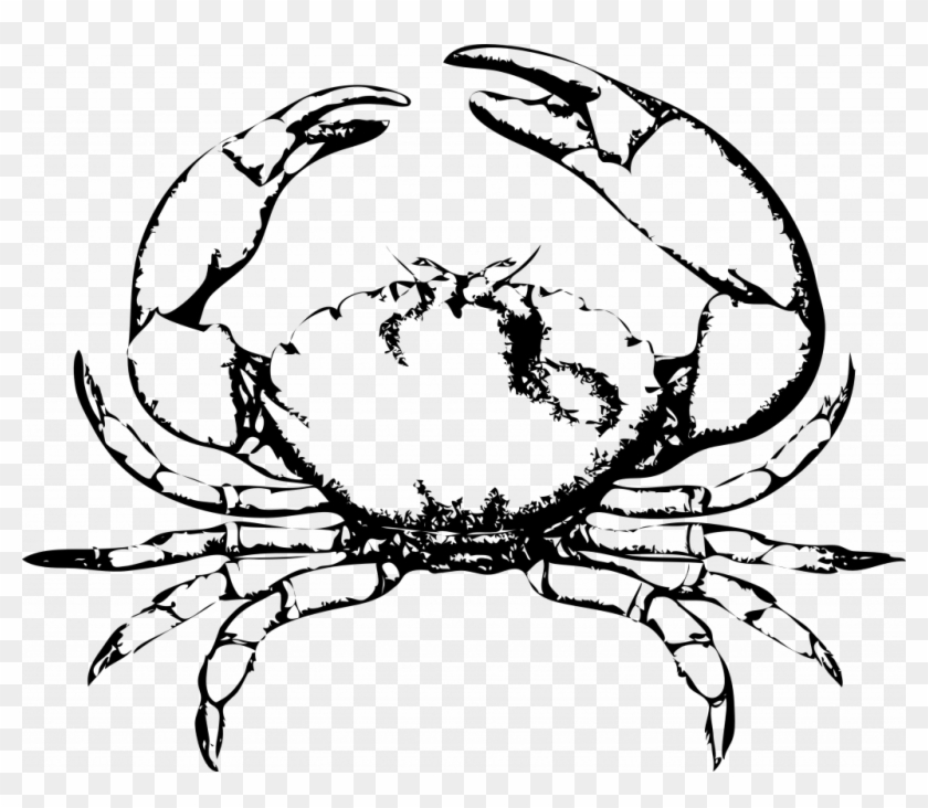 Unparalleled Drawings Of Crabs Blue Crab Drawing Clipart - Crab Black And White #911534