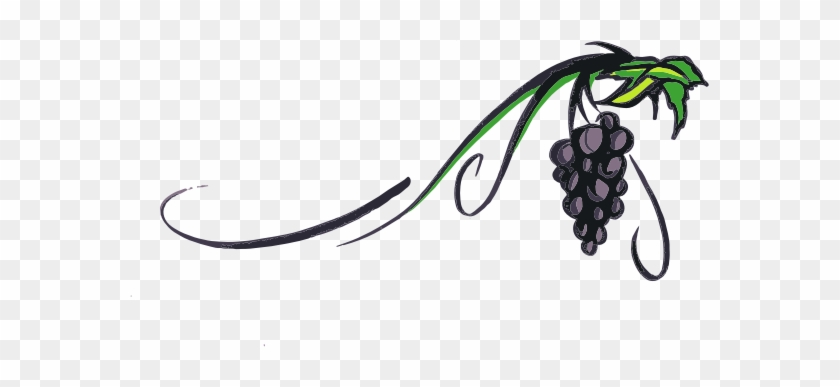 Medium Image - Grape Vine Clip Art #912115
