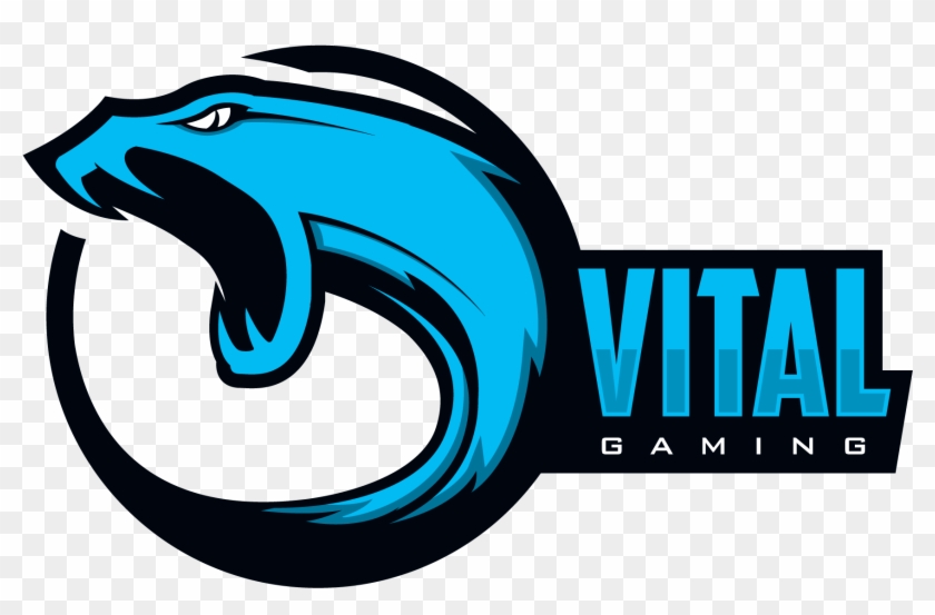 Vital Gaming #912317