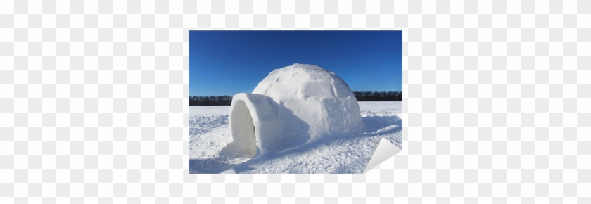 Igloo Tundry #912446