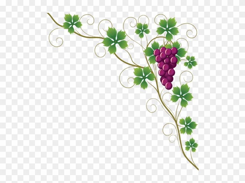 Grapes Border Png #912471