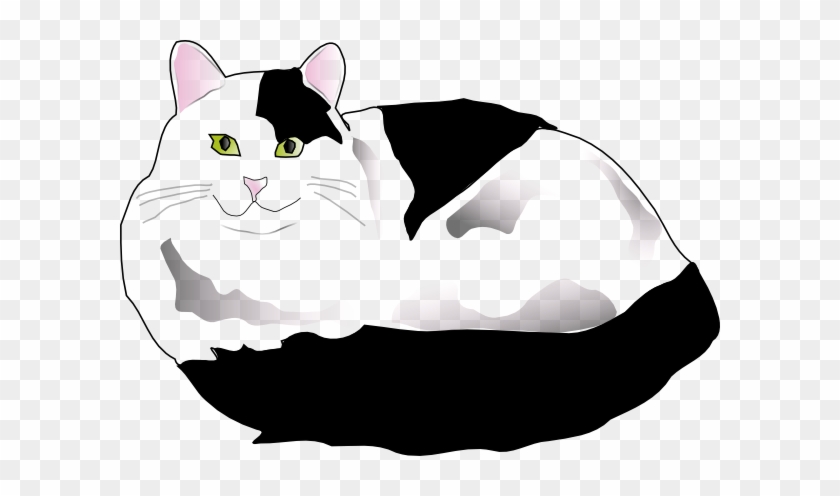 Missiridia Black And White Fluffy Cat Clip Art - Cartoon Black And White Cat Clip Art #912633