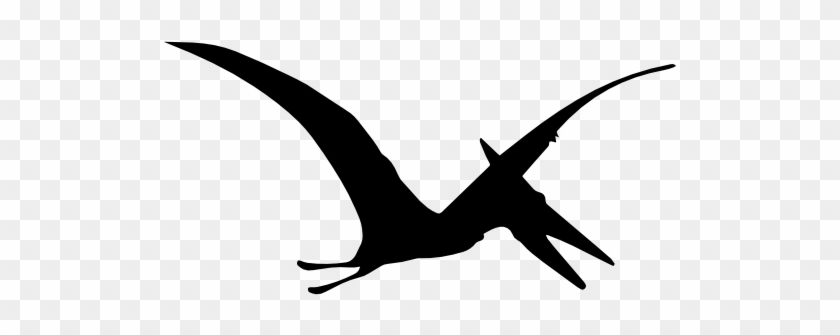 Pterodactyl Dinosaur Bird Shape Free Icon - Dinosaur Silhouette Svg #912865