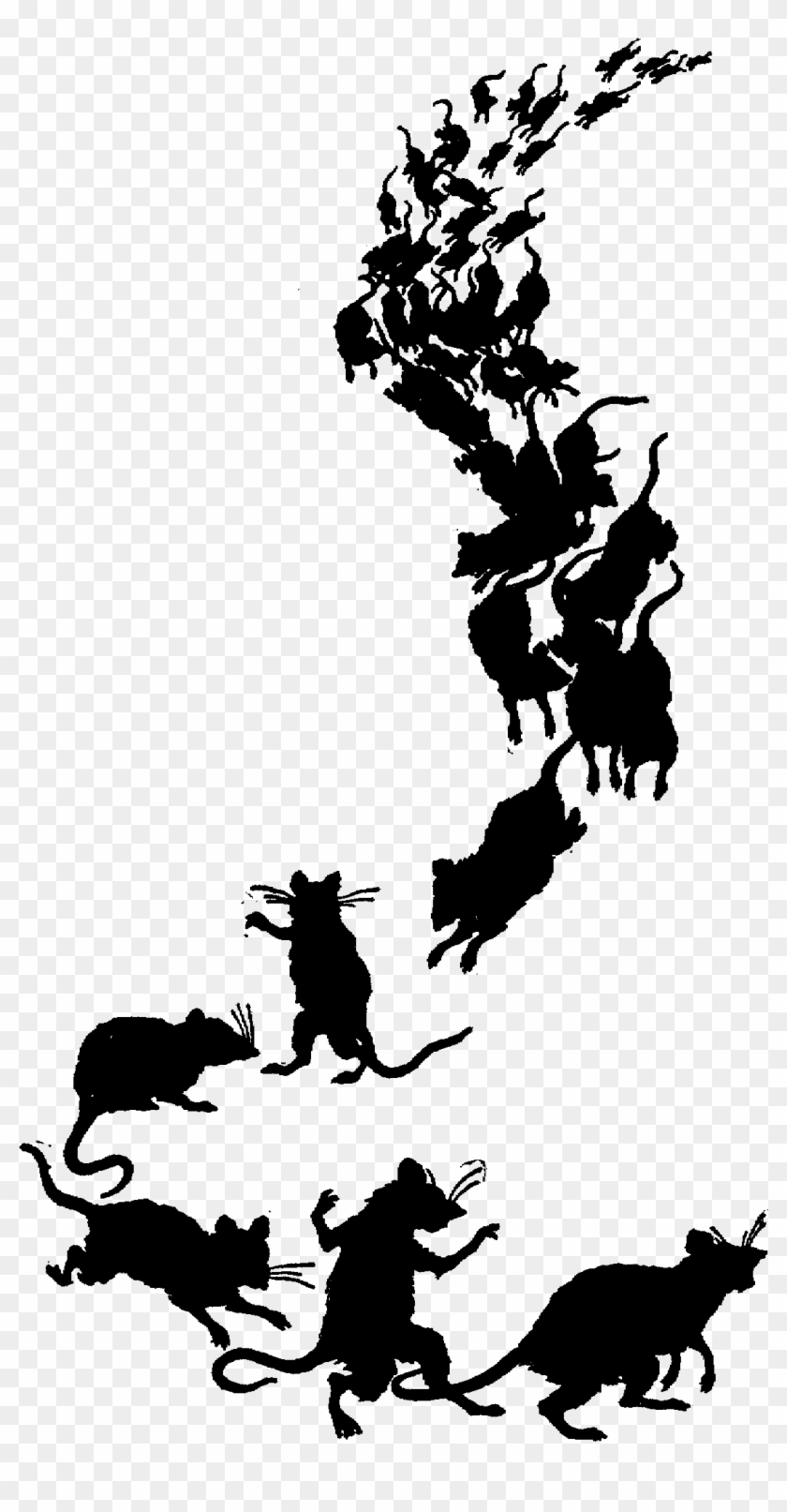 Photos Of Rat Clip Art Medium Size - Rats In A Line #913318