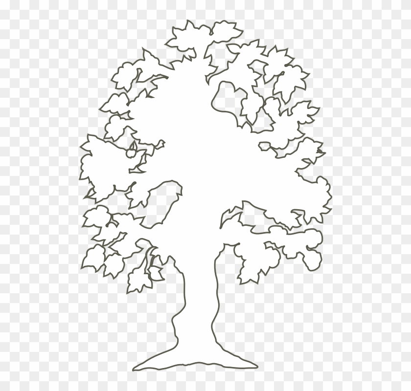 Tree Stencil Cliparts 14, Buy Clip Art - White Outline Of A Tree #913389