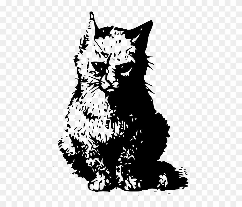 Cat, Silhouette, Illustration, Cats, Kitten, Pet - Old Cat Illustration #913565