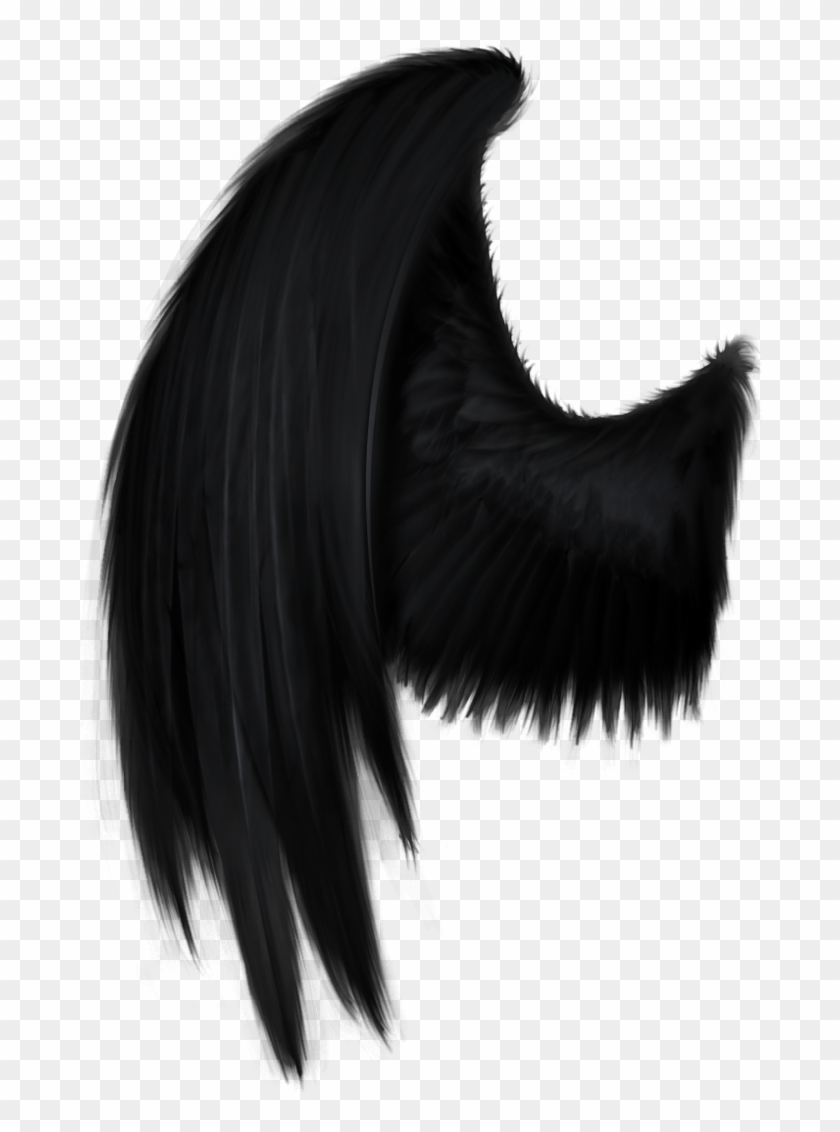 Black Angel Wing Png By Starscoldnight On Clipart Library - Black Angel Wings Png #913685