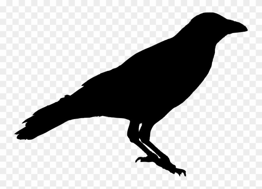 Crow Silhouette Pattern - Silhouette Of A Crow #913782