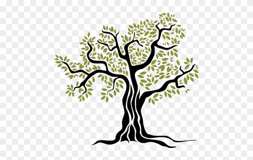 Choose - Olive Tree Vector Png #913790