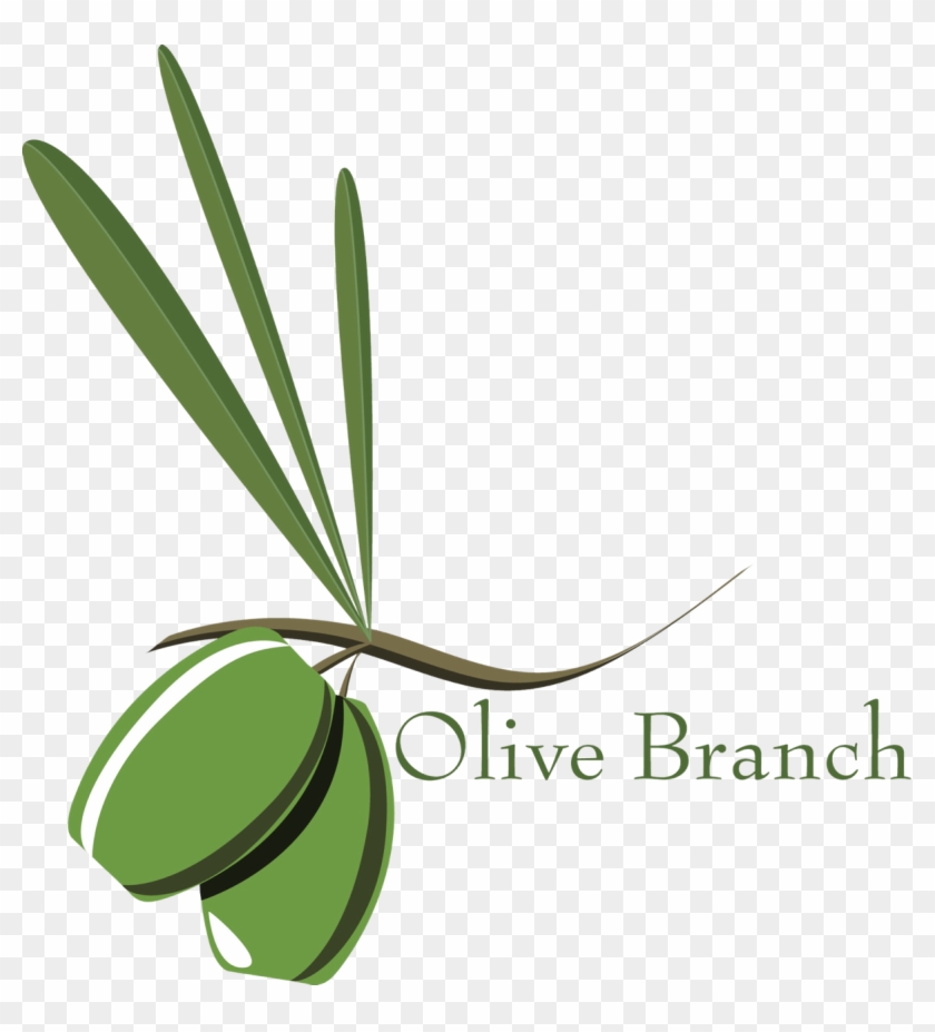 Olive Branch Petition Photos Free Image - Olive Branch Petition Drawing #913830