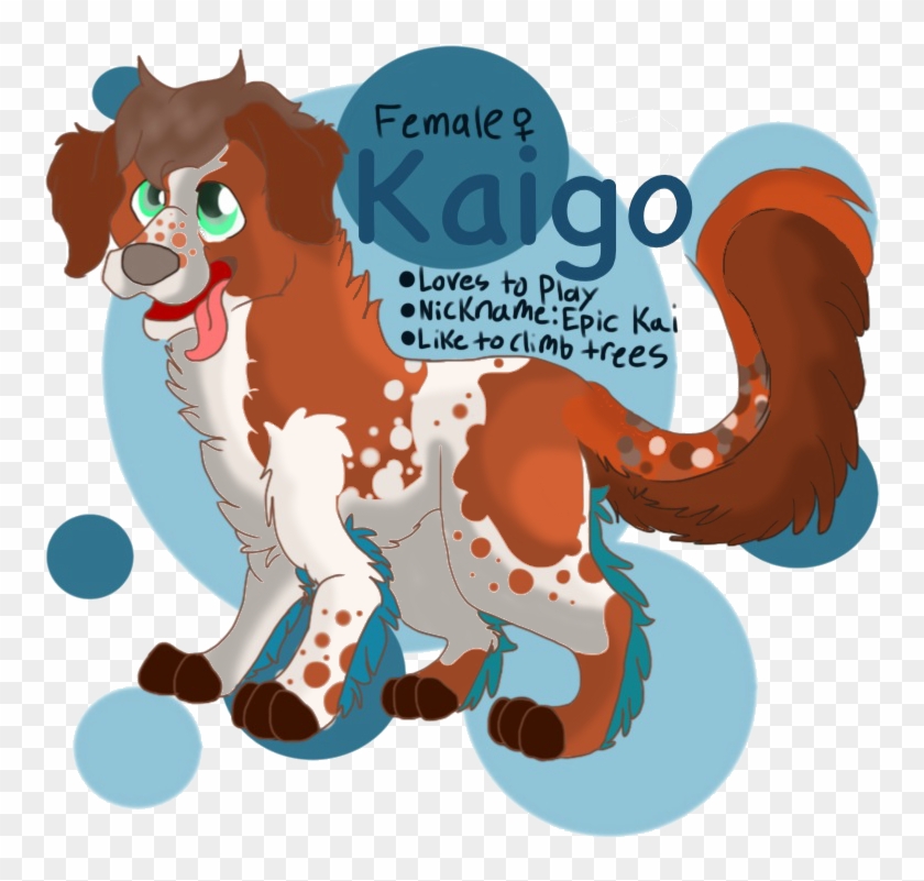 Kaigo The Kooikerhondje Shaded By Quarter Moon Wolf - Illustration #913996