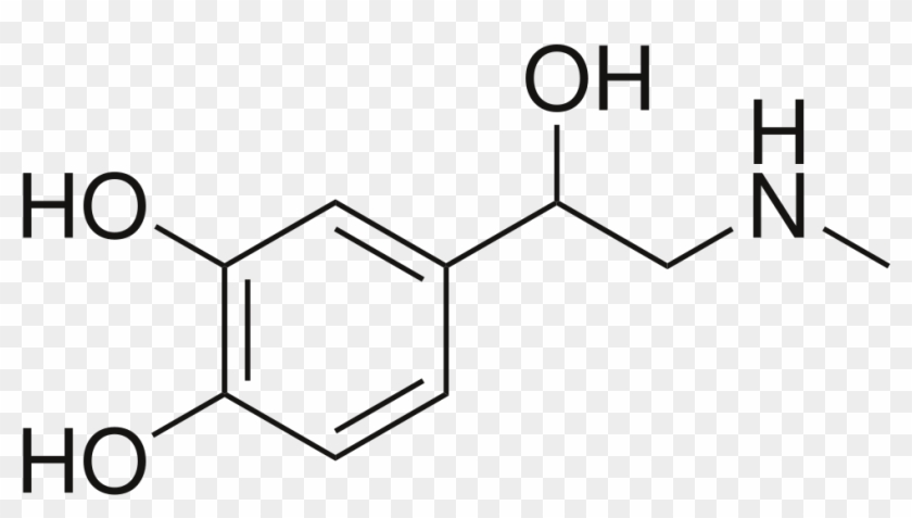 Stress, Learning To Live In The Moment, And Some Paleo - N N Diethyl M Toluamide #914080